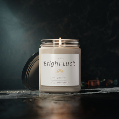 Bright Luck Soy Candle – Didi the Ladybug Jar Candle (9oz) | White Sage & Lavender Scent